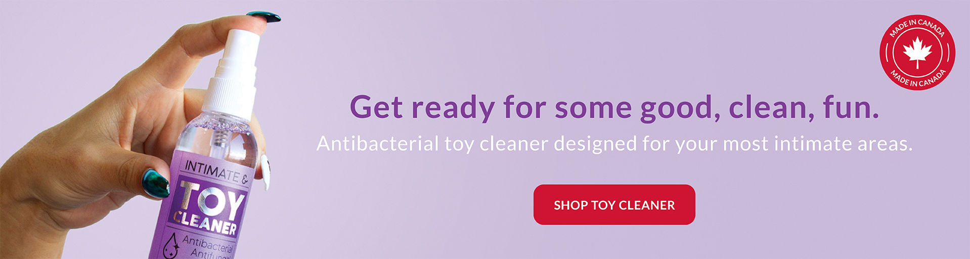 toy_cleaner_web_banner_21